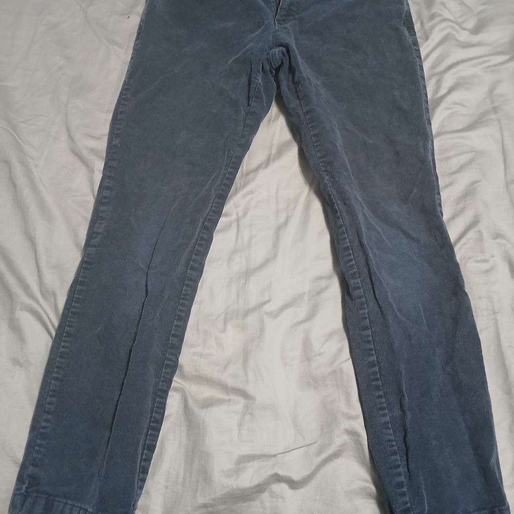 Goodthreads Women's Washed Blue Cropped Pants